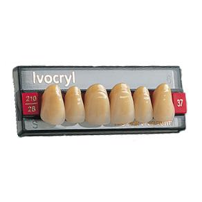 Зубы Ivocryl Набор из 6 зубов A-D фронт.верх. 37 C4