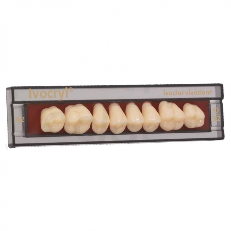 Зубы Ivocryl Набор из 8 зубов A-D жеват.низ. 31 B4