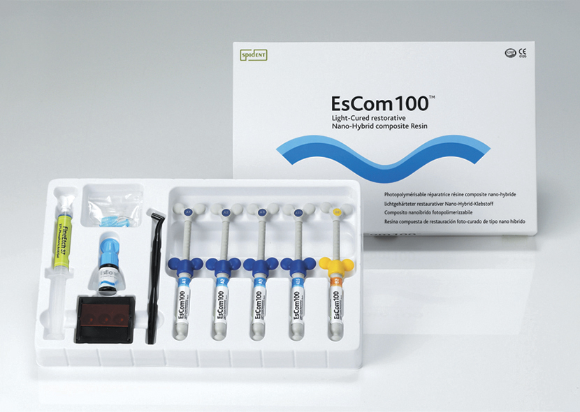 EsCom 100 Kit - набор 5*4г (A1/A2/A3/A3,5/B2) Spident